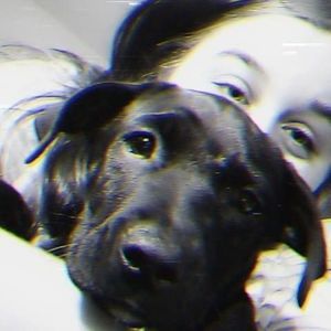 Meet your Posher, Amanita